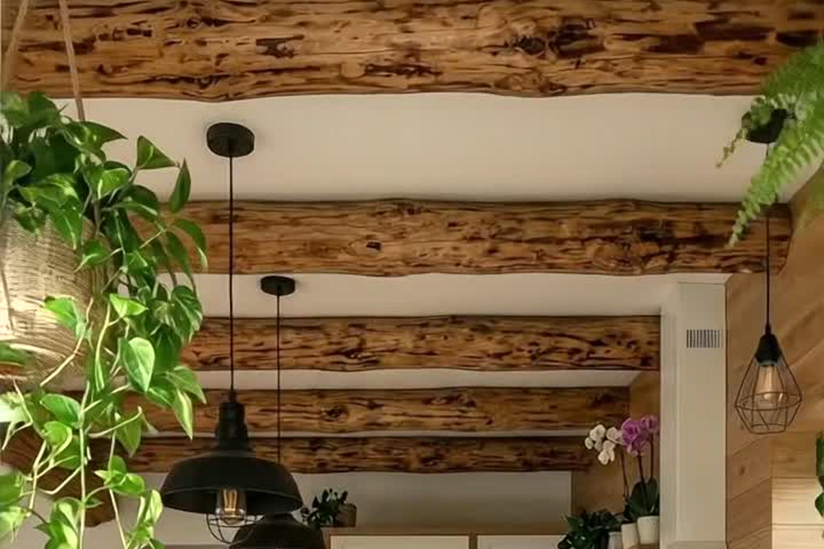 Exposed natural wood ceiling beams with black pendant lights and hanging green plants